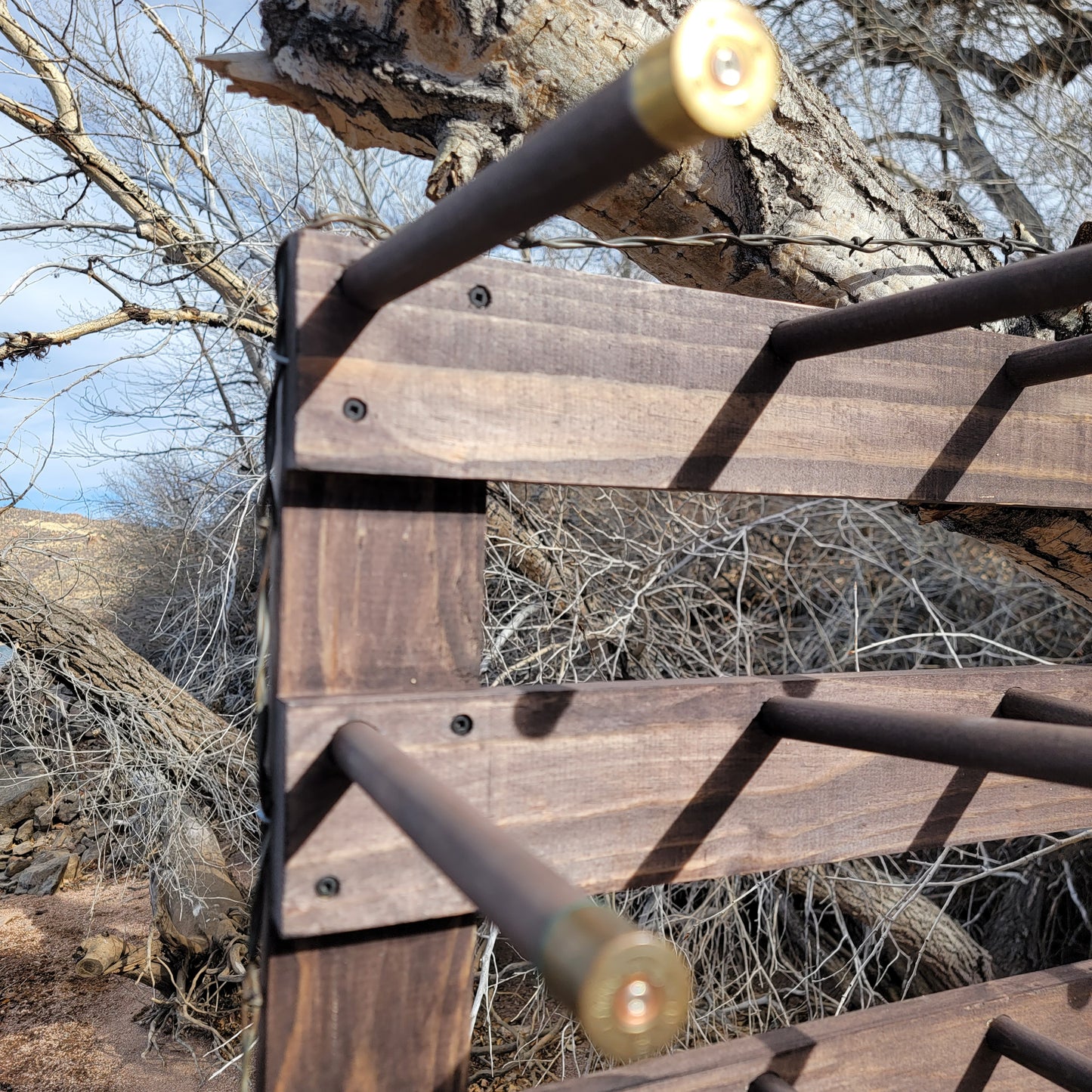 9C - Cowboy Hat Rack